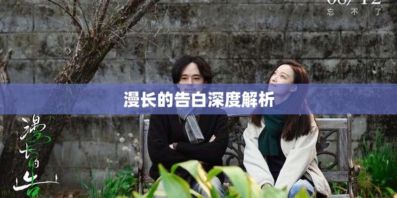 漫长的告白深度解析 漫长的告白深度解析