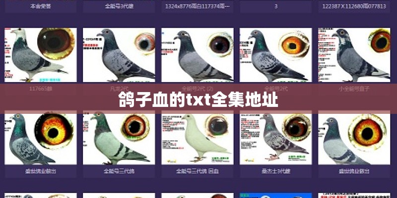 鸽子血的txt全集地址
