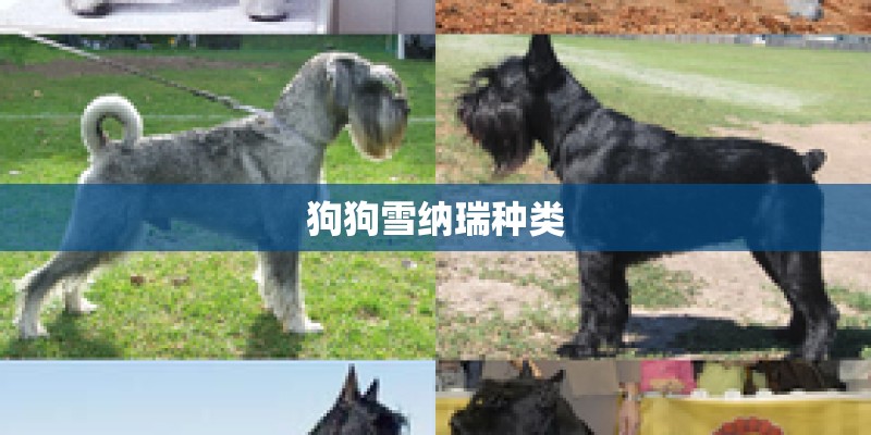 大明王朝1566版权在哪