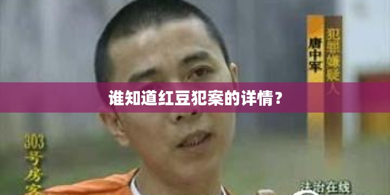 谁知道红豆犯案的详情？
