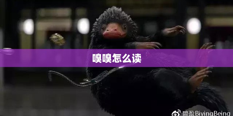 嗅嗅怎么读