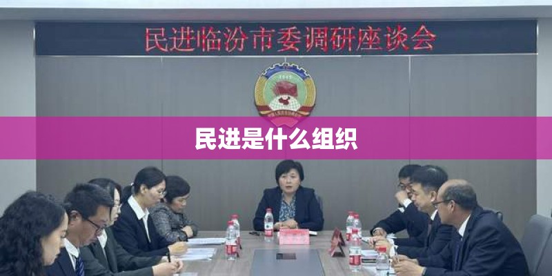 民进是什么组织