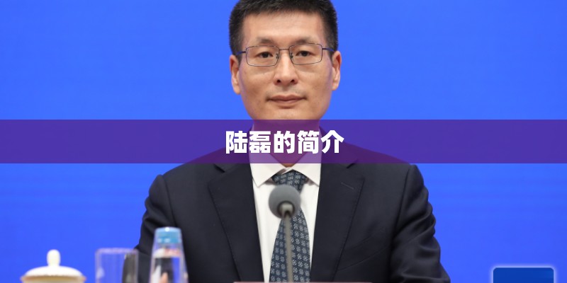 陆磊的简介