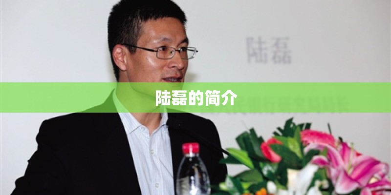 陆磊的简介