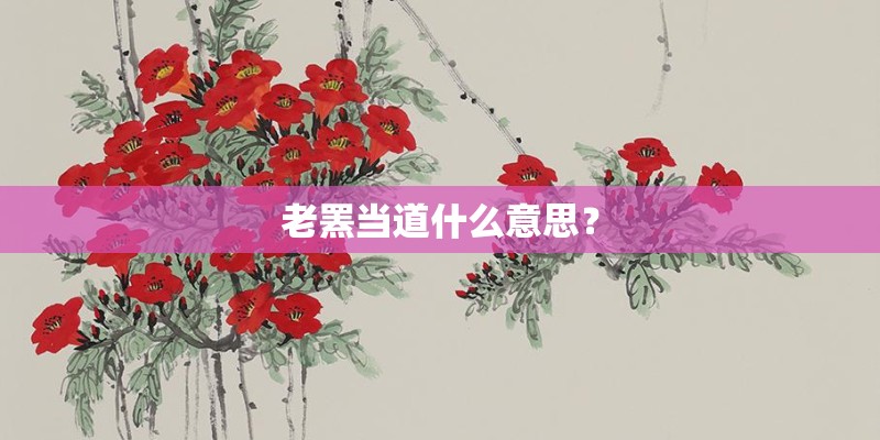 王乐君在《伪装者》中为什么招人讨厌？